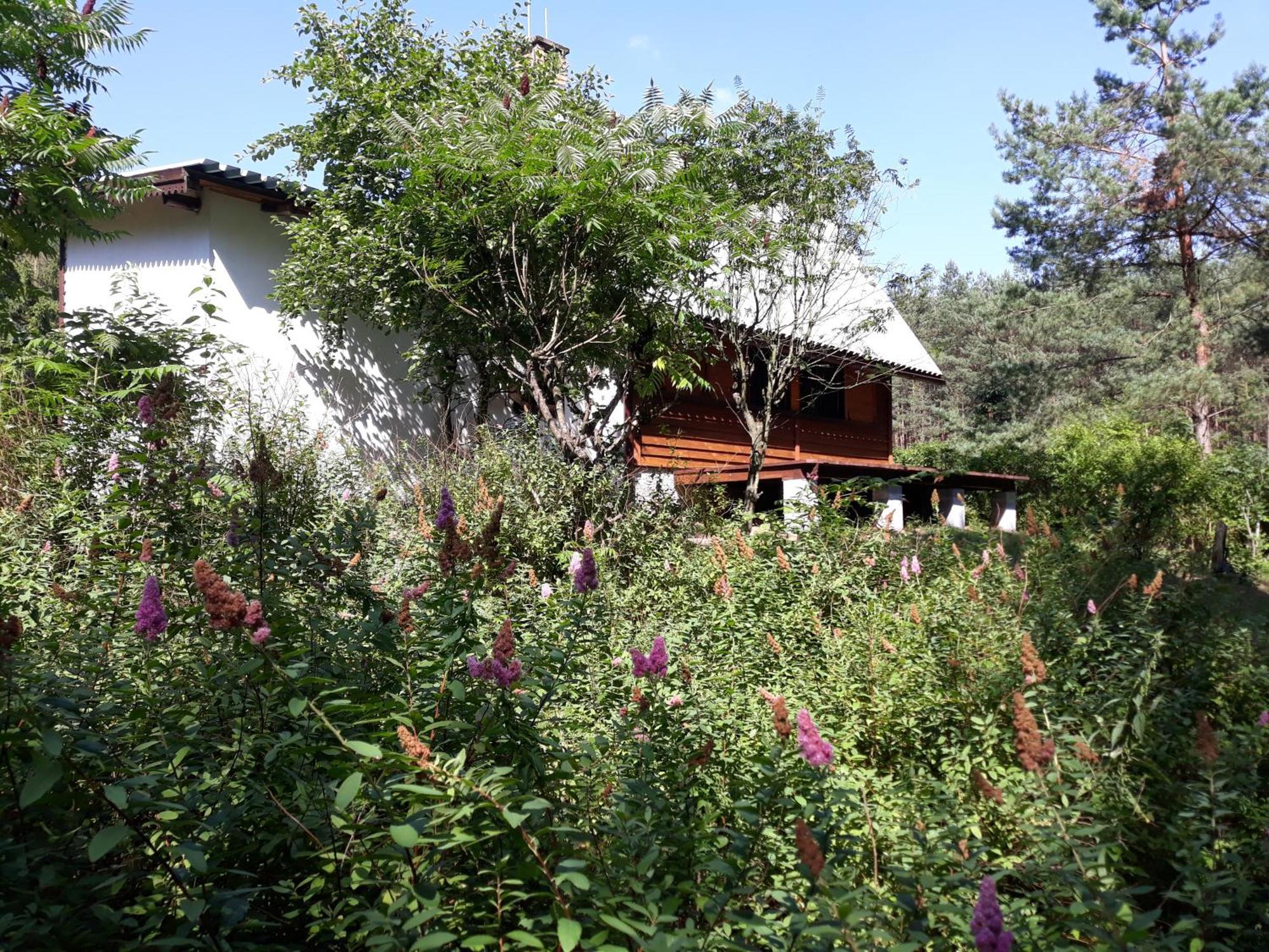 הוילה Górzno Lesna Polana מראה חיצוני תמונה